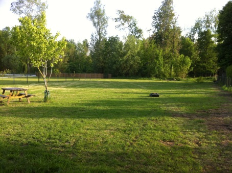 Visuel présentant le résultat de l'installation pour la référence : 15 jours apr&egrave;s l'installation du 01 Mai 2014, RS 622