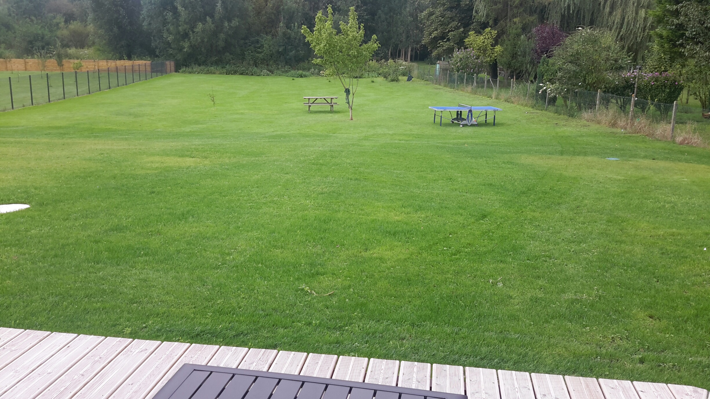 Visuel présentant le résultat de l'installation pour la référence : 3 mois apr&egrave;s l'installation du 1er mai