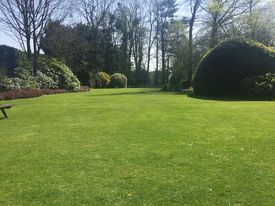 Visuel présentant le résultat de l'installation pour la référence : Magnifique pelouse gr&acirc;ce &agrave; Oborobo ! 