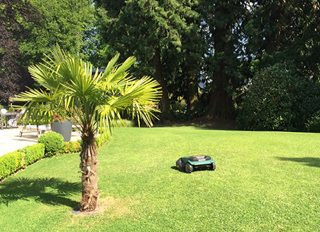 Visuel présentant le résultat de l'installation pour la référence : Superbe jardin chez Sylvie